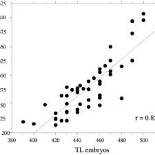 Image result for Paragaleus pectoralis