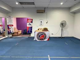 Image result for Synergy Tae Kwon Do