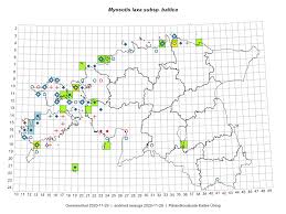 Attēlu rezultāti vaicājumam “Myosotis laxa subsp. baltica”