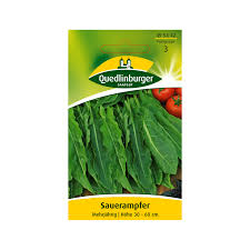 Image result for Sauerampfer