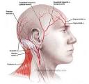 Do hair transplant patients eventually go bald?