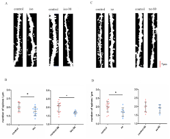 Image result for Seishin Jc
