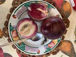 Attēlu rezultāti vaicājumam “Chrysosplenium alternifolium fruit”