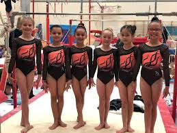 Image result for Marriotts Gymnastics Club