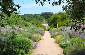 Image result for Priona Tuinen