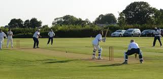 Image result for Upwood Cc