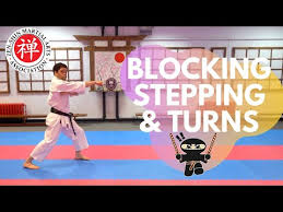 Image result for Zen Shin Seicho Do Adult Karate