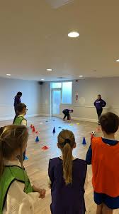 Image result for David Lloyd Senior Badminton Club