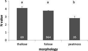 Attēlu rezultāti vaicājumam “Rhynchostegiella tenella sporophyte”