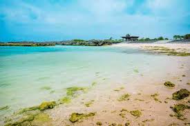 Image result for Bushiki Kwai