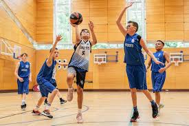 Image result for Kingston Wildcats Basketball Club