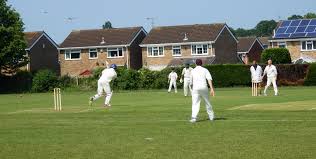 Image result for Luton Caribbean Cricket & Social Club