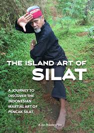 Image result for Silat Perisai Diri Classes Club