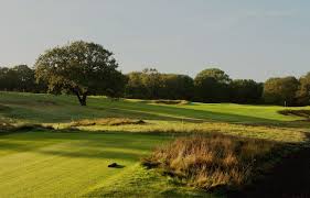 Image result for Wimbledon Common Golf Club