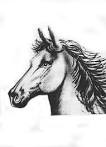 Airbrush Horse | carmenbianco.
