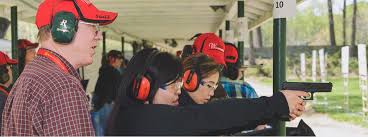 Image result for Darlington RA small-bore and Field target Club