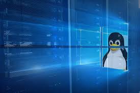 Image result for linux