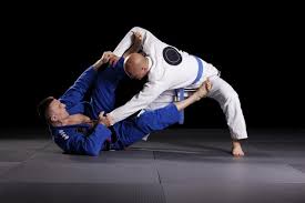 Image result for Team Renegade BJJ & Judo
