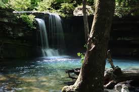 Image result for Dearne Valley Devils