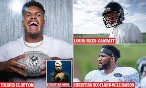 Image result for Basingstoke Buffalo