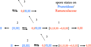 Attēlu rezultāti vaicājumam “Tranzschelia pruni-spinosae spores”