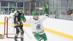 Image result for Basingstoke Bison Ice Hockey Club