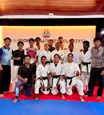 Image result for Excalibur Shotokan Karate Club