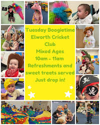 Image result for Elworth Cricket Club