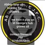 Image result for Abbey Lane Junior Football Club