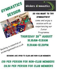 Image result for Wickers Gymnastics Club
