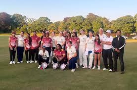 Image result for Luton Nomads Cricket Club