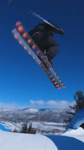 Image result for skiptondivers