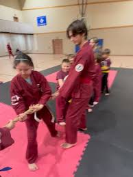 Image result for Sudbury Hapkido Club