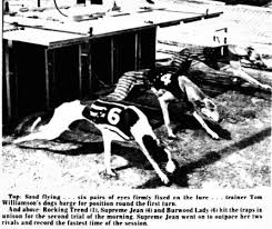 Image result for Reading Greyhound Track