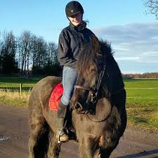 Image result for Dalkeith Park Equestrian Club