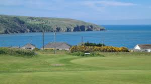 Image result for Cardigan Golf Club