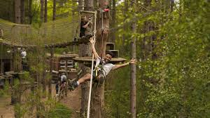 Image result for Go Ape! Moors Valley