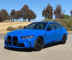 Image result for Enzian