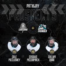 Image result for Milton Keynes Thunder