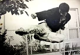 Image result for Bushin Kenpo Kai Schools