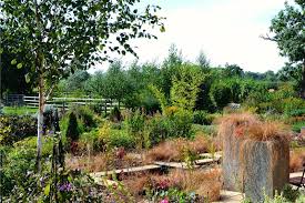 Image result for Bitteswell Cricket Club