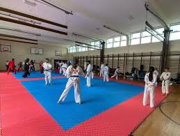 Image result for Great Britain Martial Arts Academy