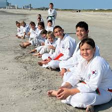Image result for Devines Martial Arts