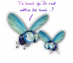 http://t0.gstatic.com/images?q=tbn:ANd9GcT29tn_5uV0fPn1wzhnZaQbWzCdZS_a-aj-986FX3azEebXf0-V7Q