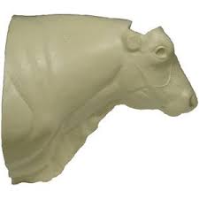 Attēlu rezultāti vaicājumam “Bos primigenius taurus”