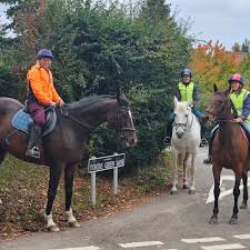 Image result for Palmers Riding Stables