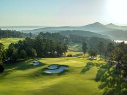 Image result for The Alt Golf Club