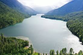 Image result for Leek Park B C