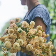 Attēlu rezultāti vaicājumam “fata morgana”