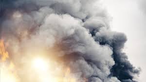 Image result for rauch